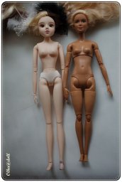 Gemini doll